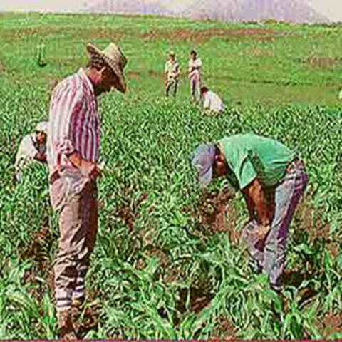Vizualizando el futuro de El Salvador.