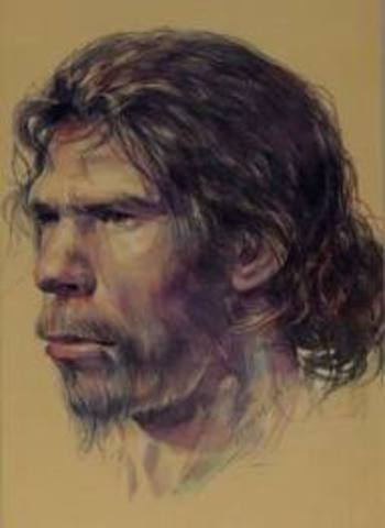 HOMO HERECTUS (1´000.000 AÑOS)