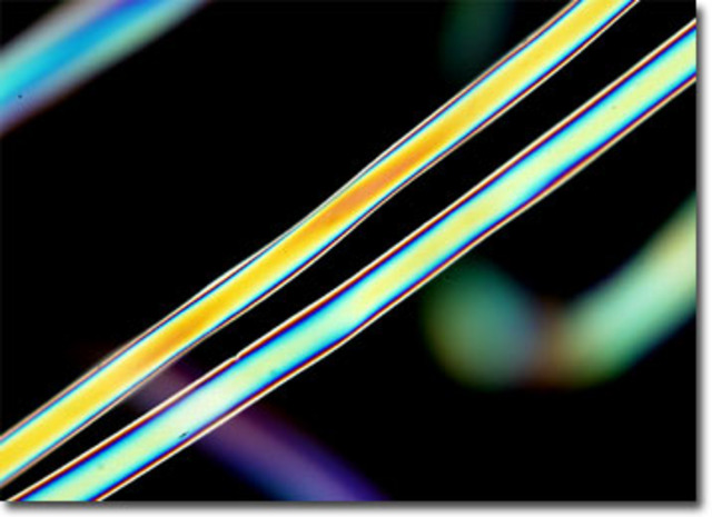 Field Applied Science Rayon Georges Audemars