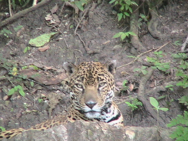 Fui por primera vez a Petén
