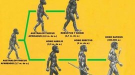 Timeline: EVOLUCION DEL HOMBRE A TRAVES DE LA HISTORIA