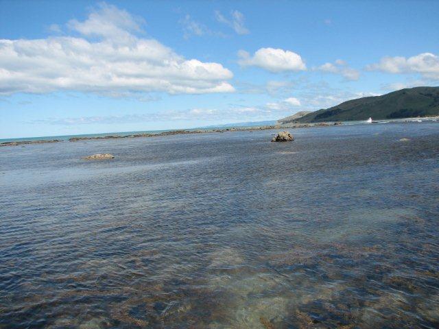 Marine Reserve Visit