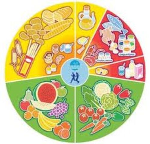 2.- CONTENIDO Y BALANCE DE NUTRIENTES