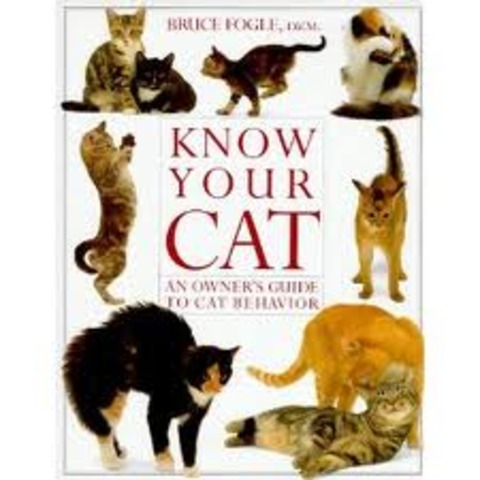 Know Your Cat