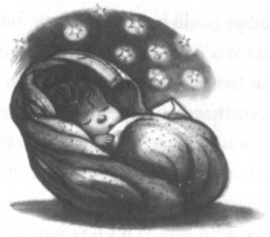 Harry Potter is Born