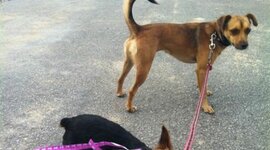 Timeline: teste timeline