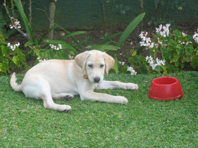 "Lia" ... regalo de cumpleaños