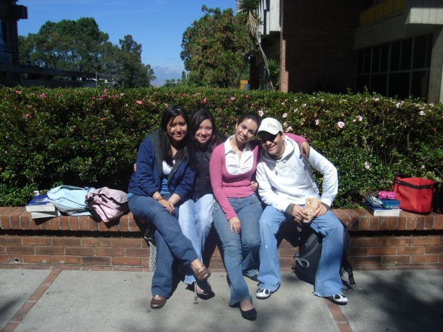 Inicié mi carrera universitaria