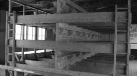 Timeline: UN/Genocide