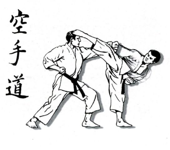 Kenpo Karate
