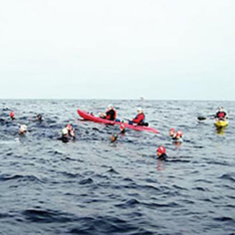 Competencia natacion