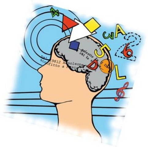 Los primeros estudios