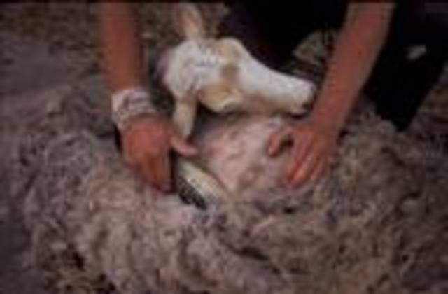 Oficios tradicionales