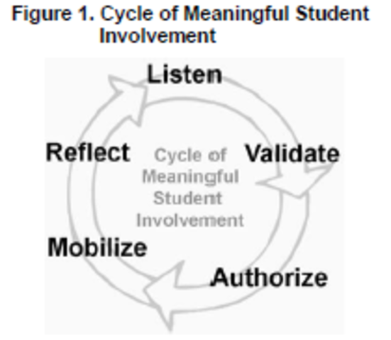 Cycle of meaniful student involvement -Fletcher