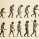 Evolucion humana