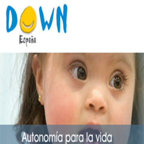 La OMS (Organización Mundial de la Salud)