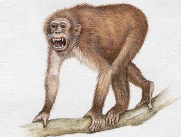 primeros antepasados