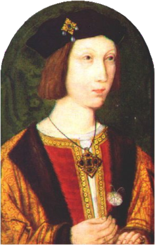 King Henry I's son died.