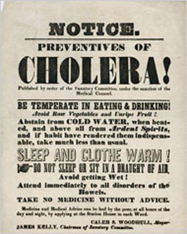 The cholera epidemic