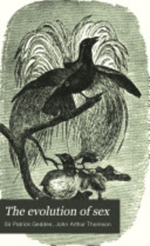 The birds and the bees