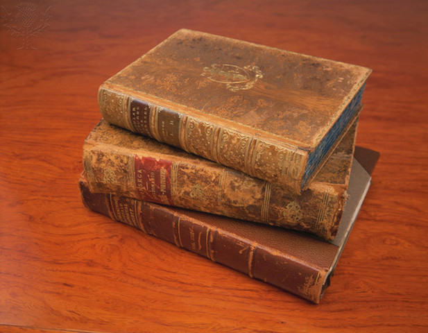 Mommy started reading