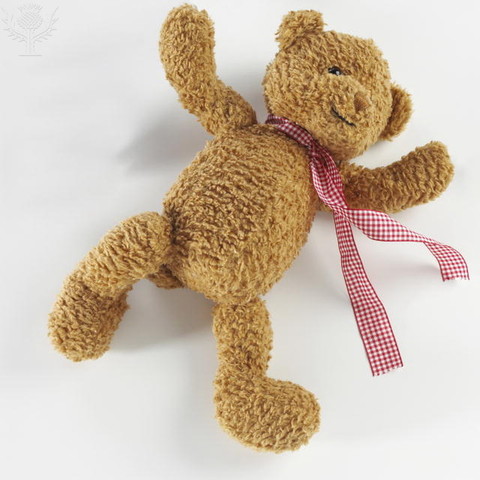 Mommys teddy bear and brothers cars