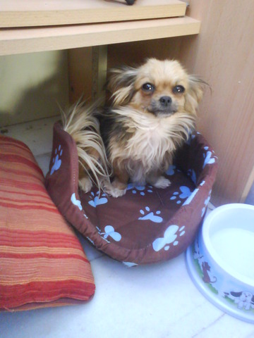 Una más en la familia