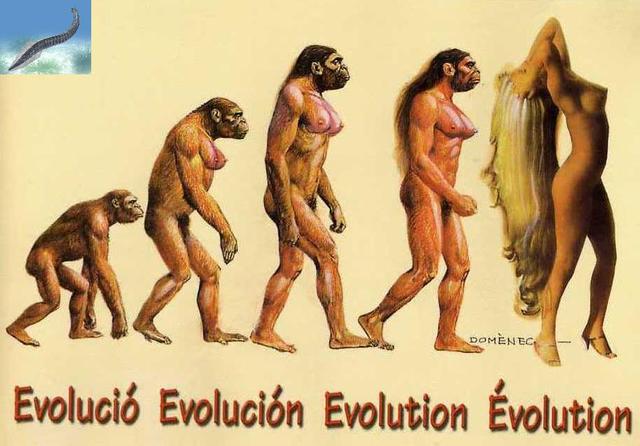 la evolucion del hombre