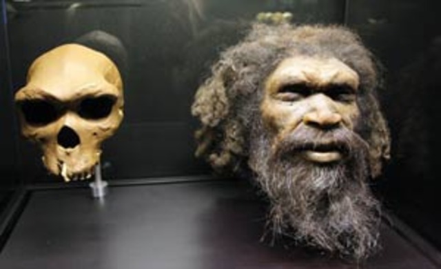 Homo rhodesiensis