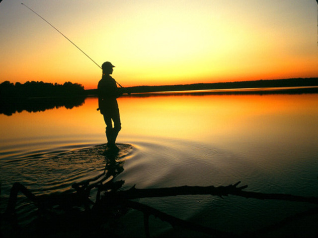 Activities and Interests