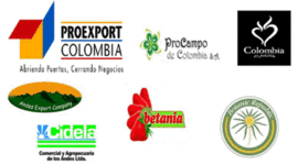 Timeline: HISTORIA EMPRESARIAL DEL AÑO 2000 AL  2007