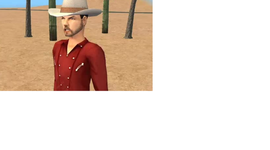 Timeline: Rocky Raccon