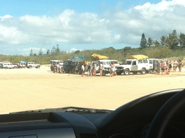 Tourist Party (Frazer)