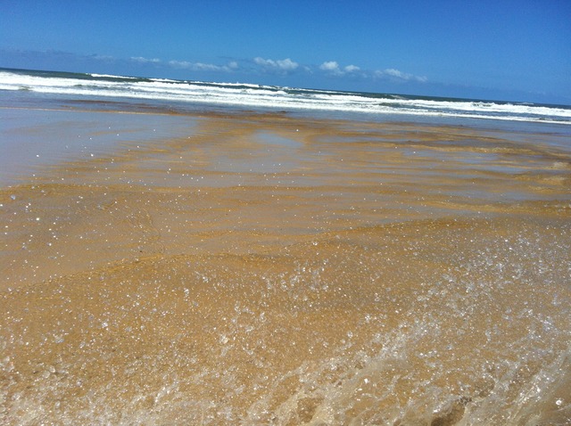 Driving Through Water (Frazer)