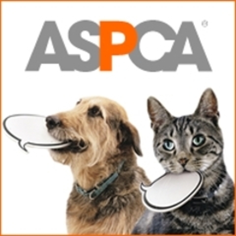 ASPCA