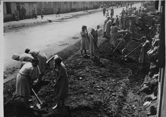 Forced labor decree issued for Polish Jews aged 14 to 60