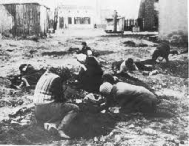 The Lodz Ghetto
