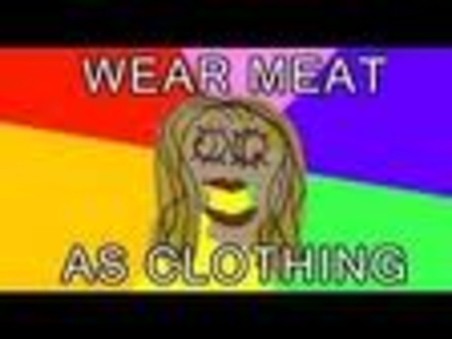 Yo fue a un concierto de Lady GaGa