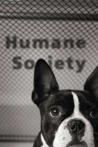 Humane Society