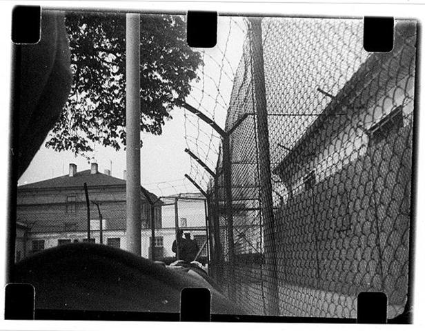 Release of Political Prisoners