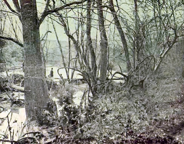 BAttle of wilderness