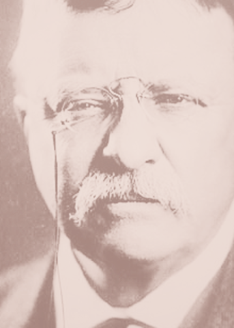 Theodore Roosevelt was appointed assistant U.S. Secretary of the Navy.