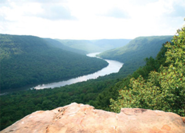 capture of the tennessee