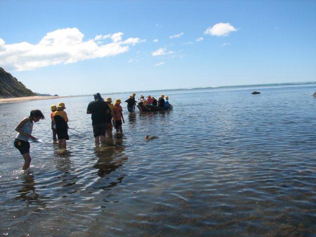 Rm 2 went to the Marine Reserve