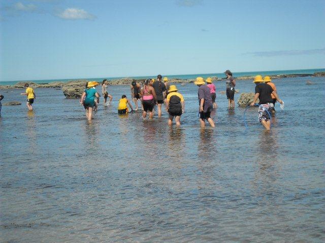 We went to Kaiti Beach and the Marine Reserve.