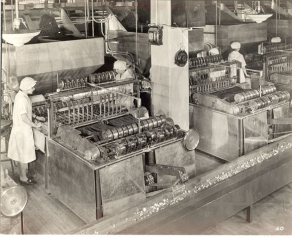 HERSHEY CHOCOLATE COMPANY!