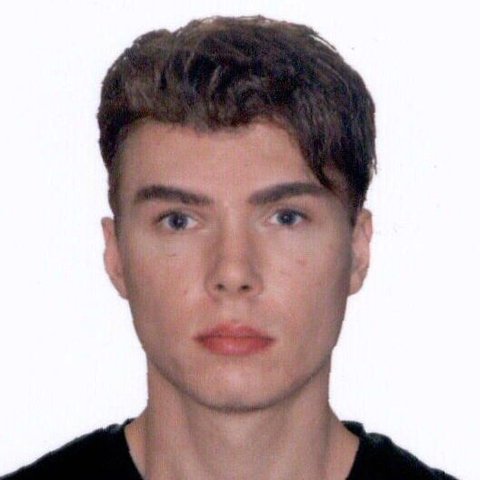 Interpol issues International arrest warrant for Magnotta