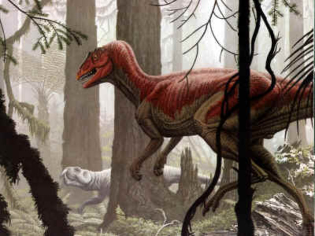 The Early Cretaceous Period