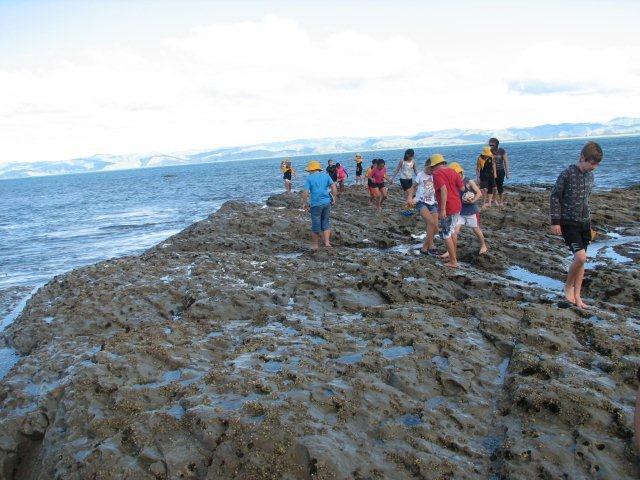 went to tetupuwi a rongo kako marine reserve with my class
