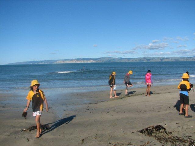 went to kaiti beach with my class